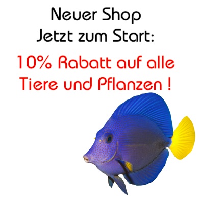 Neuer Shop aquaPro2000