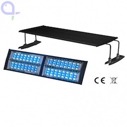 AquaLight LED