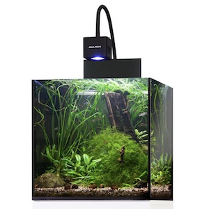 Aquarienbeleuchtung