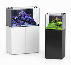 Meerwasser Aquarium Unterschrank