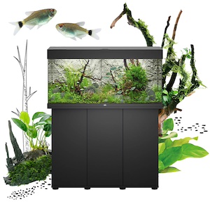 Juwel Aquarium