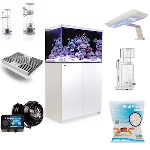 Meerwasseraquarium Komplettset