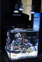 Nanotank 20 Aquarium mit Abdeckung und Unterlage