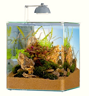 Nano Aquarium 