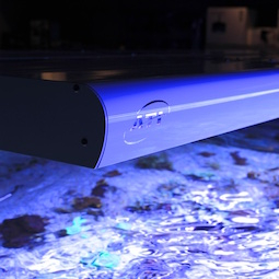ATI LED ATI LED