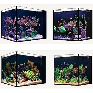 Red Sea Desktop Cube Aquarium - Ohne Unterschrank aquaPro2000