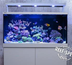 Red Sea Aquarium