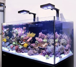Red Sea Reefer G2+ DeLuxe