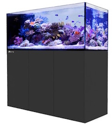 Red Sea Reefer Red Sea Reefer