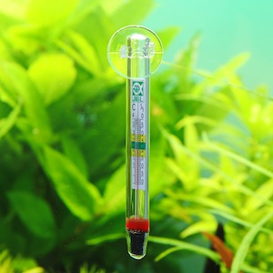 Aquarium Thermometer