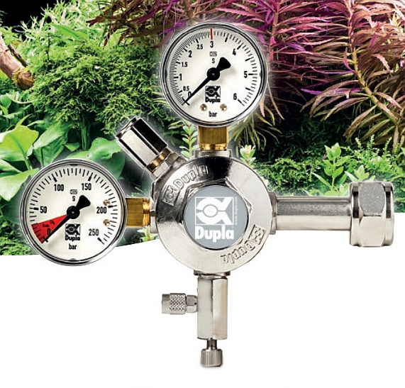 CO2 Aquarium CO2 Aquarium
