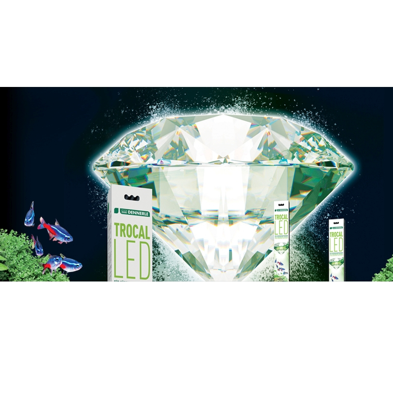 Dennerle LED Dennerle LED