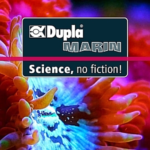 Dupla Marin Strömungspumpe Dupla Marin Strömungspumpe
