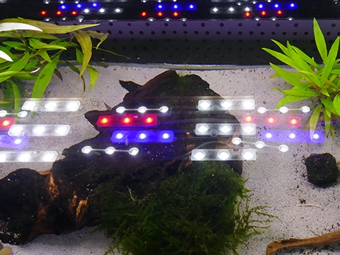 LED Bausatz Aquarium