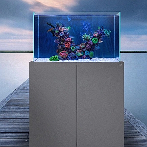 Nyos Opus G2 Nyos Opus G2