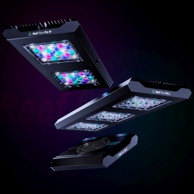 Reef Factory Reef Flare LED Reef Factory Reef Flare LED