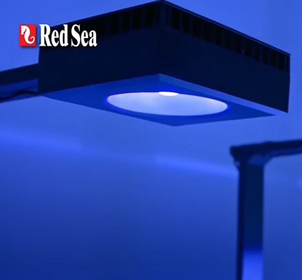 Red Sea Reef LED