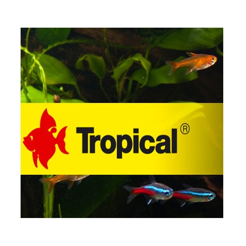 Tropical Aquarium Fischfutter