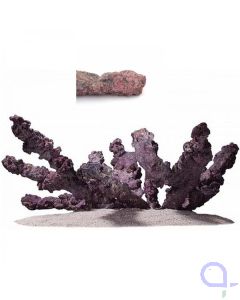 CaribSea Life Rock Belize Branch 9,07 kg - Riff&auml;ste