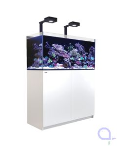 Red Sea Reefer DeLuxe 350 G3+ weiß Meerwasseraquarium