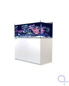 Red Sea Reefer 425 G3 weiß 