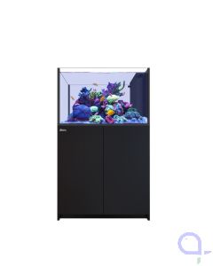 Red Sea Reefer Peninsula 350 G3 schwarz
