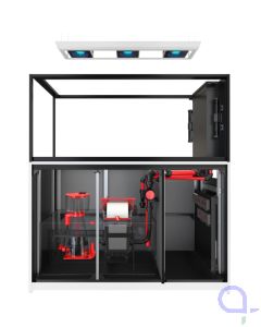 Red Sea Reefer Max Peninsula S 700 G3 weiß