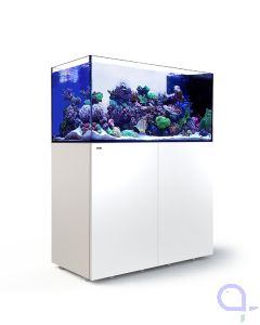 Red Sea Reefer Peninsula G3 500 weiss