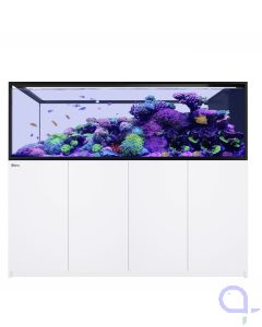 Red Sea Reefer Peninsula G3 S 950 weiß