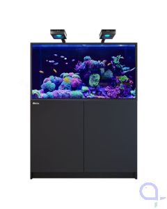Red Sea Reefer G3 S 550 Deluxe schwarz - 2 x ReefLed 170