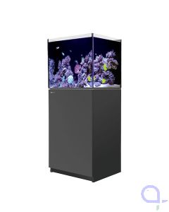Red Sea Reefer 170 G3 schwarz Meerwasseraquarium