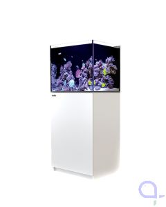 Red Sea Reefer 170 G3+ weiß