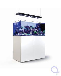 Red Sea Reefer Peninsula 500 G3 Deluxe weiß - 3x ReefLed 115