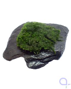 Bewachsener Slate Rock-ansicht