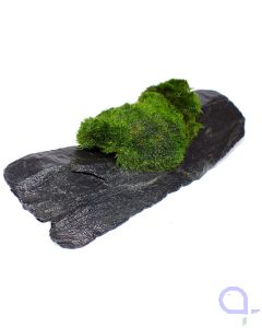 Bewachsener Slate Rock - wysiwyg - Ansicht links