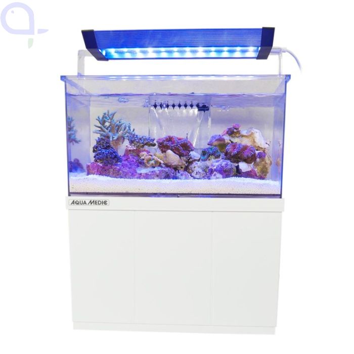 Sprudelstein für ihr Aquarium I aquaPro2000