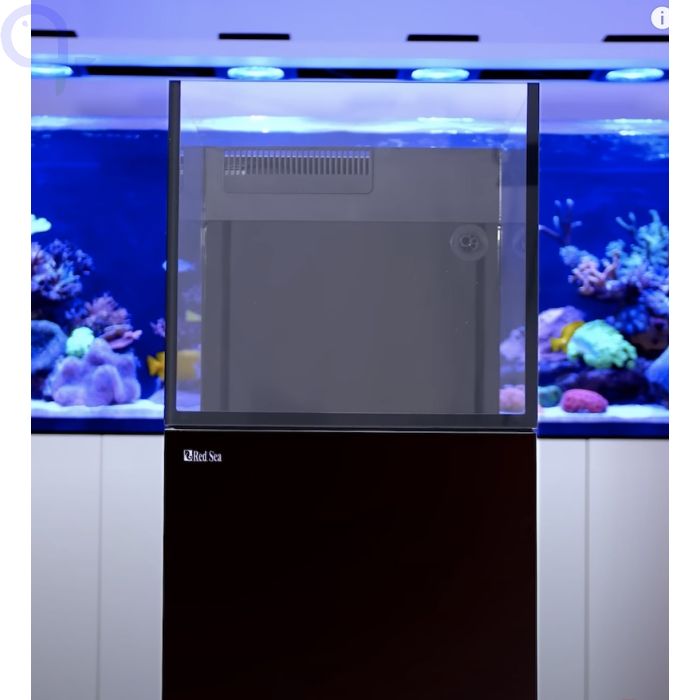 Red Sea Desktop Cube Aquarium - Ohne Unterschrank aquaPro2000