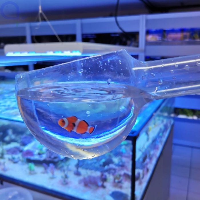 Aquariumunterlage Meterware, Zubehör, Zubehör / Sonstiges / Ersatzteile, Mehr