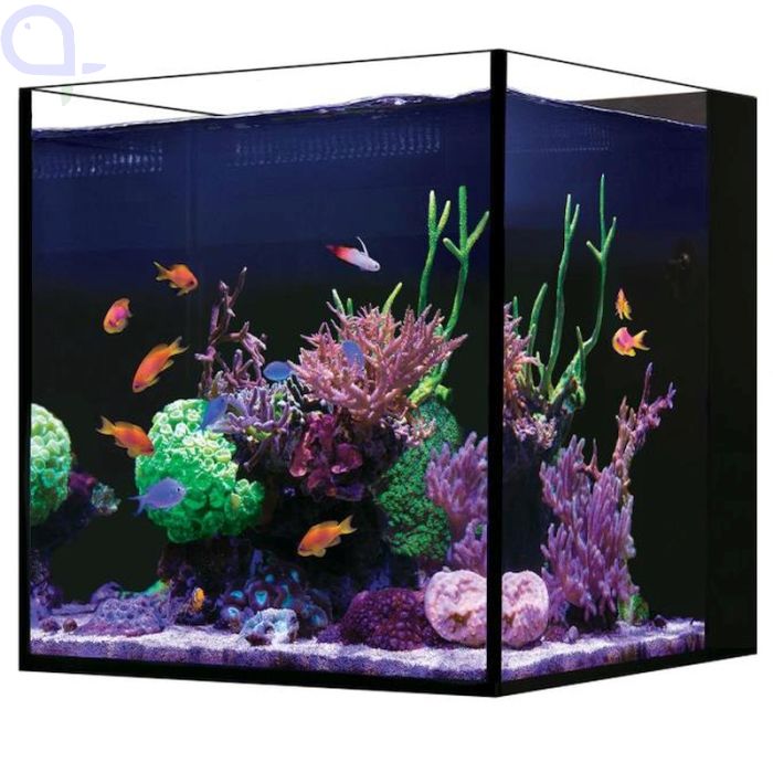 Red Sea Desktop Cube Aquarium - Ohne Unterschrank aquaPro2000