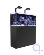 Red Sea Reefer 350 G3+ Deluxe schwarz - 2x ReefLed 115