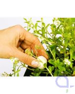 Velda Growth Balls - Wasserpflanzen Düngekugeln 50 Stück