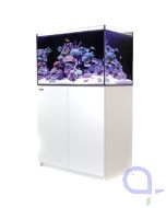 Red Sea Reefer 250 G3+ weiß