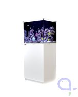 Red Sea Reefer 170 G3+ weiß