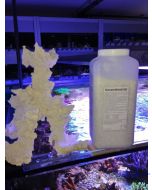 Korallenwelt Keramikmörtel 1 Liter