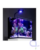 Red Sea Max Nano Meerwasseraquarium Komplettset ohne Schrank inkl. Versand