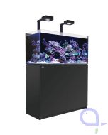 Red Sea Reefer 350 G2+ Deluxe schwarz - 2x ReefLed90