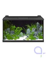 Eheim aquapro84 LED Aquarium Komplettset in schwarz