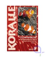 KORALLE Clownfische im Meerwasseraquarium