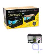 Diversa Start Up 60 LED mit Zubehör