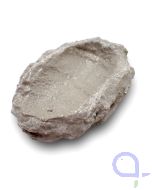 Bild 2 Muschelhalter Riffkeramik Korallenwelt 